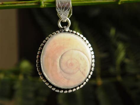 Shiva Eye Shell: A Mystical Gem with Unparalleled Beauty and Spiritual Significance