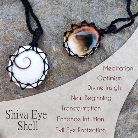 Shiva Shell: A Sacred Orb of Spiritual Enlightenment