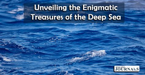 Shiva Shell: Uncovering the Enigmatic Treasures of the Sea