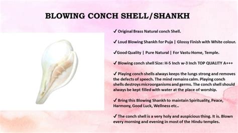 Shiva Shell: Unveiling the Mystique of the Sacred Conch