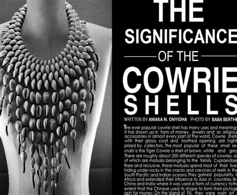 Shiva Shell Meaning: A Journey into Sacred Symbolism