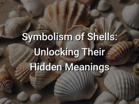 Shiva Shell Meaning: Unlocking the Spiritual Significance