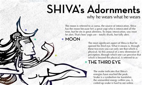 Shiva Shell Meaning: Unraveling the Symbolism and Spirituality