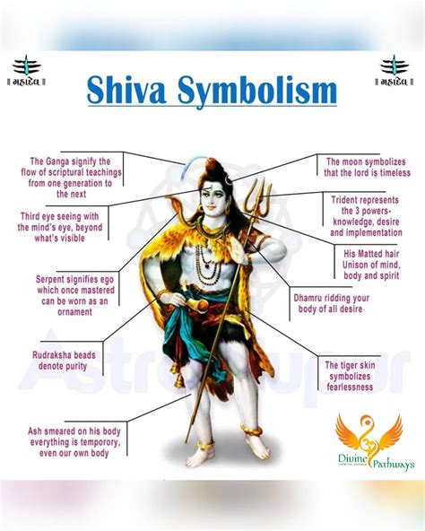 Shiva Shell Meaning: Unveiling the Sacred Symbol of Lord Shiva