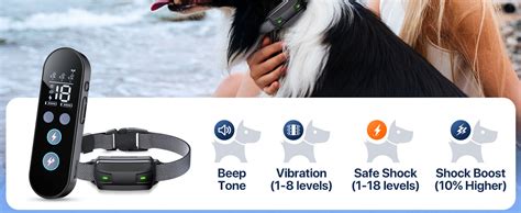 Shock Collar & Fence for Dogs: A Comprehensive Guide