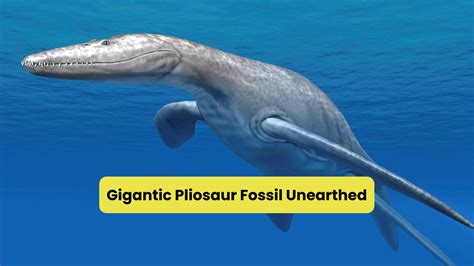 Shocking Discovery on a Farm: A Colossal Fossil Unearthed