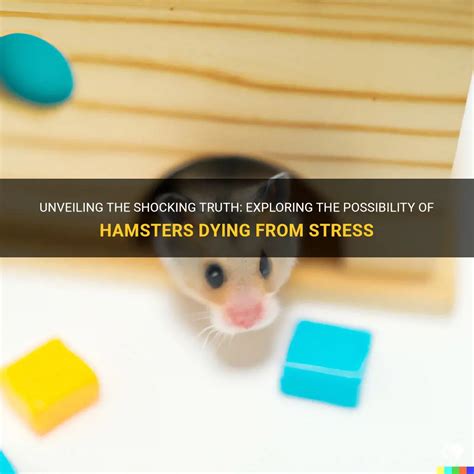 Shocking Hamster: Unveiling the Astonishing Potential of AI-Powered Rodents