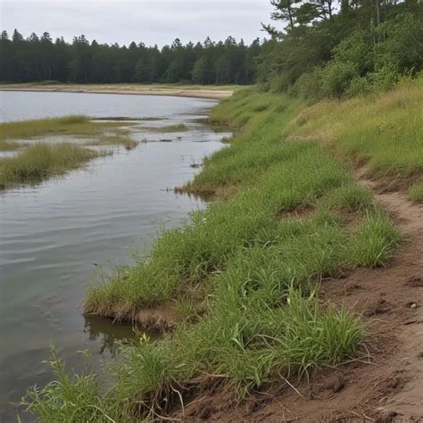 ShorelineMap: The 10,000-Word Guide to Enhancing Coastal Resilience and Decision-Making