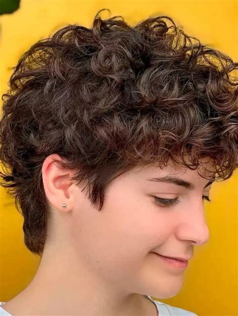 Short Curly Wigs Lace Front Wigs Synthetic Fabulous Wigs