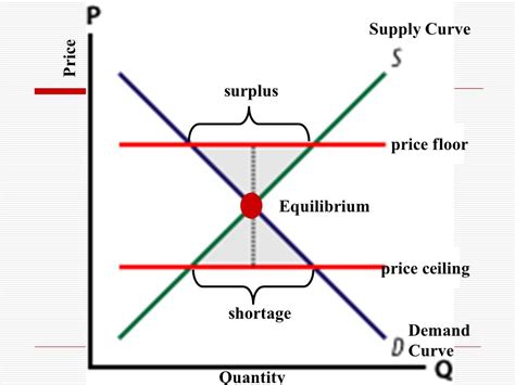 Shortage or Surplus: Understanding the Supply-Demand Dynamics