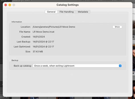 Should You Remove Old Lightroom Backup Catalog