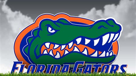 Show your support for the Gators: