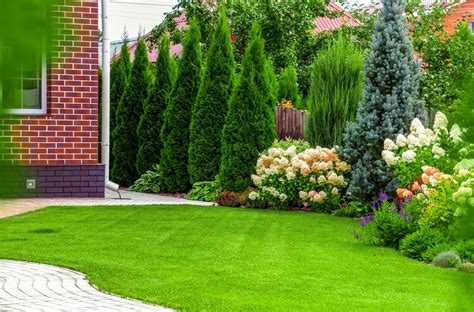 Shrub and Tree Fertilizer Nearby: Enhance Your Garden's Vitality in 10 Easy Steps