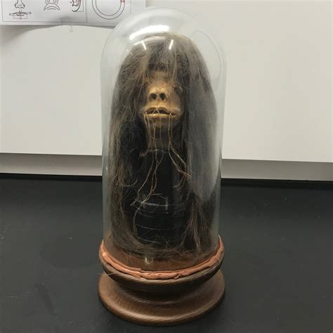 Shrunken Heads Kindle Editon