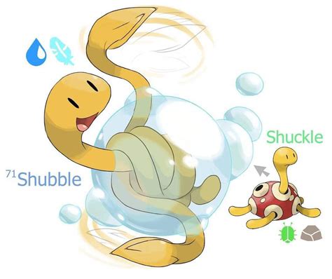 Shuckle: The Defense-Oriented Pokémon with 1,000,000 HP