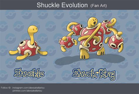 Shuckle Evolution: The Ultimate Guide to Transforming Your Beloved Pokémon