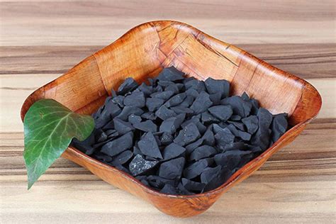 Shungite: An Overview