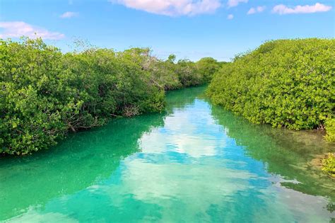 Sian Ka'an: A Diverse Biosphere Reserve with Unforgettable Adventures