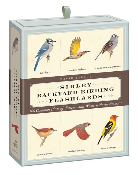 Sibley Backyard Birding Flashcards 100 Common Birds of Eastern and Western North America Sibley Birds Epub