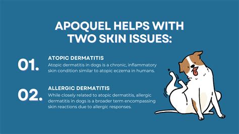 Side Effects of Apoquel: Unveiling the #1 Drug for Dogs' Allergies