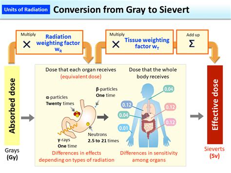 Sievert to Gray: A Comprehensive Conversion Guide