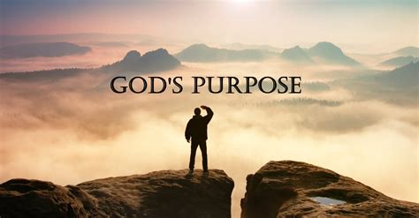 Significance Understanding God s Purpose for Your Life Interactions PDF