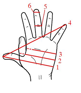 Significance of Thumb Measurement in Pouce en Cm