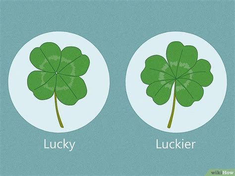 Significance of the 5 Leaf Clover: A Symbol of Luck, Fortune, and More