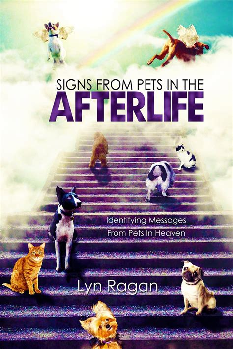 Signs From Pets In The Afterlife Doc