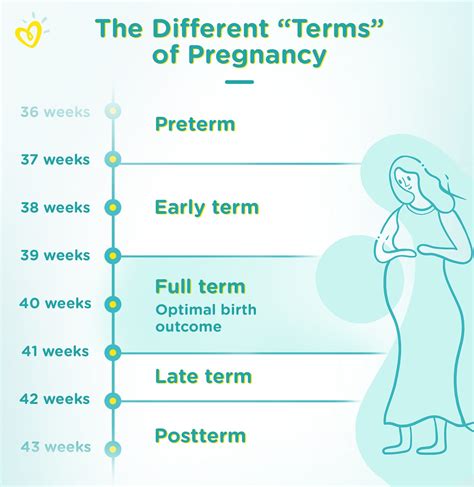 Signs of a Full Term Pregnancy