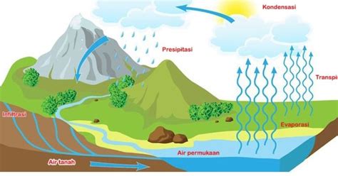 Siklus Air dan Peran Hujan