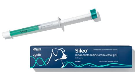 Sileo Gel: A Comprehensive Guide to the Motion Sickness Medication for Dogs