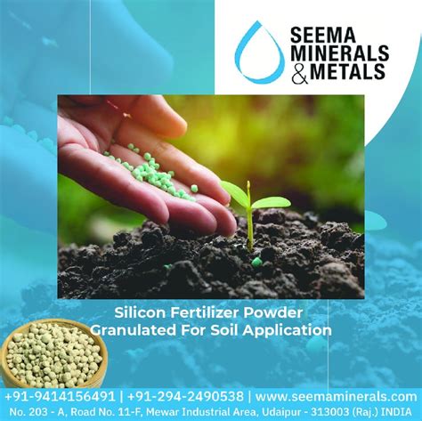 Silicon Fertilizer: The Ultimate Guide