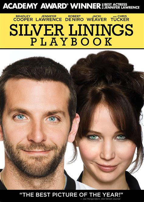 Silver Linings Playbook Traditional Chinese Edition PDF