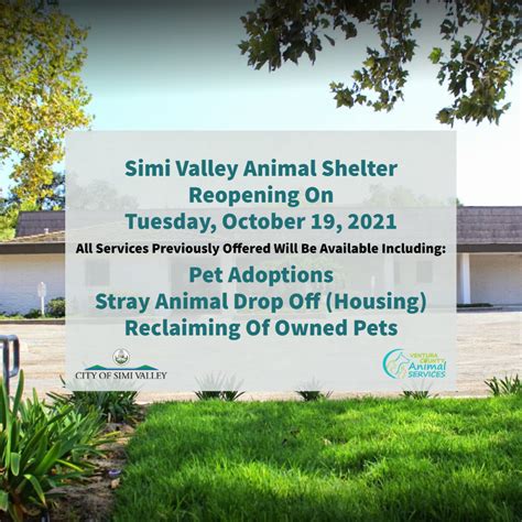 Simi Valley Animal Shelter: A Haven for Homeless Pets