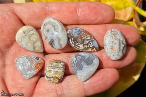 Similarities between crazy lace agate and other agates