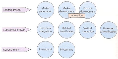 Simple Alternative Development Strategy PDF