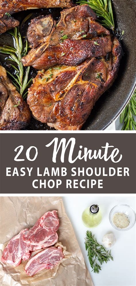 Simple Easy and Quick Lamb Recipes Lamb Recipes Adapted to Your Everyday Lifestyle Epub