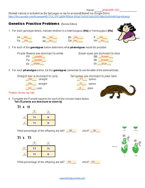 Simple Genetics Answer Key Reader