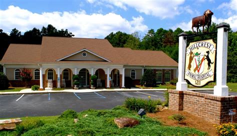 Simpsonville Animal Hospital: Exceptional Veterinary Care in Simpsonville, SC