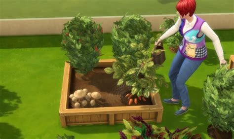 Sims 4 Best Fertilizer: 100% Growth Guaranteed