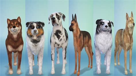 Sims 4 Breeds: The Ultimate Guide to Creating Unique and Realistic Pets