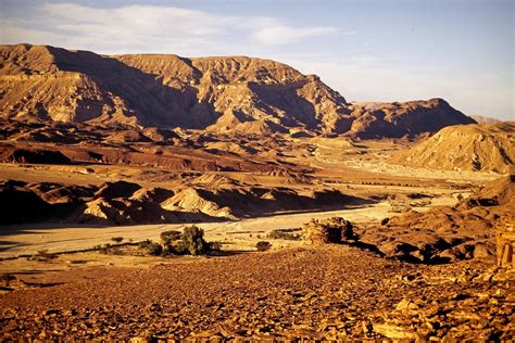 Sinai; From the Fourth Egyptian Dynasty to the Present Day Reader