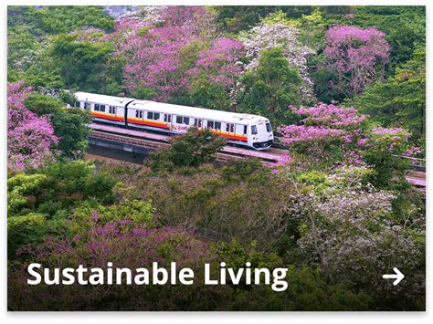 Singapore's Commitment to Sustainable Development: A Comprehensive Overview