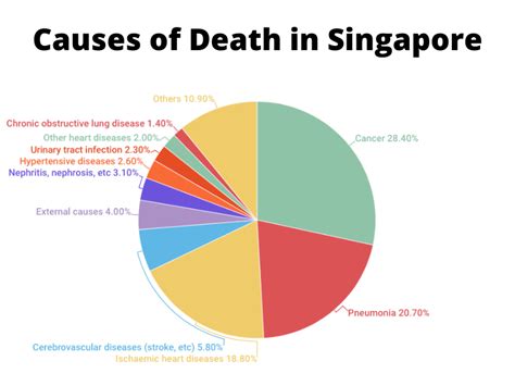 Singapore's Leading Causes of Death: A 10,000-Character Analysis