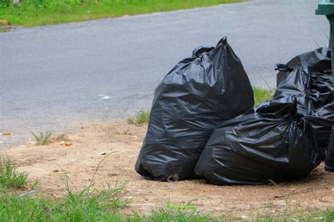 Singapore's Strict Littering Laws: Consequences and Enforcement