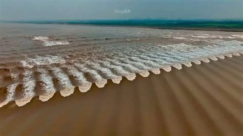 Singapore's Unique Tidal Patterns