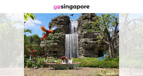 Singapore: Not a Paradise for All