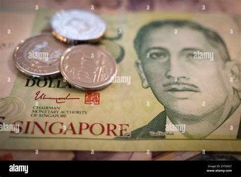 Singapore Dollar: A Currency of Strength and Stability