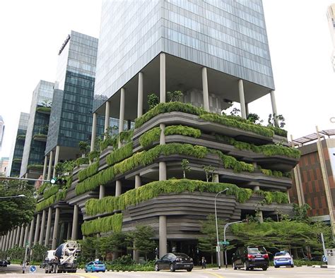 Singapore Farms: Embracing Urban Agriculture in a Bustling Metropolis